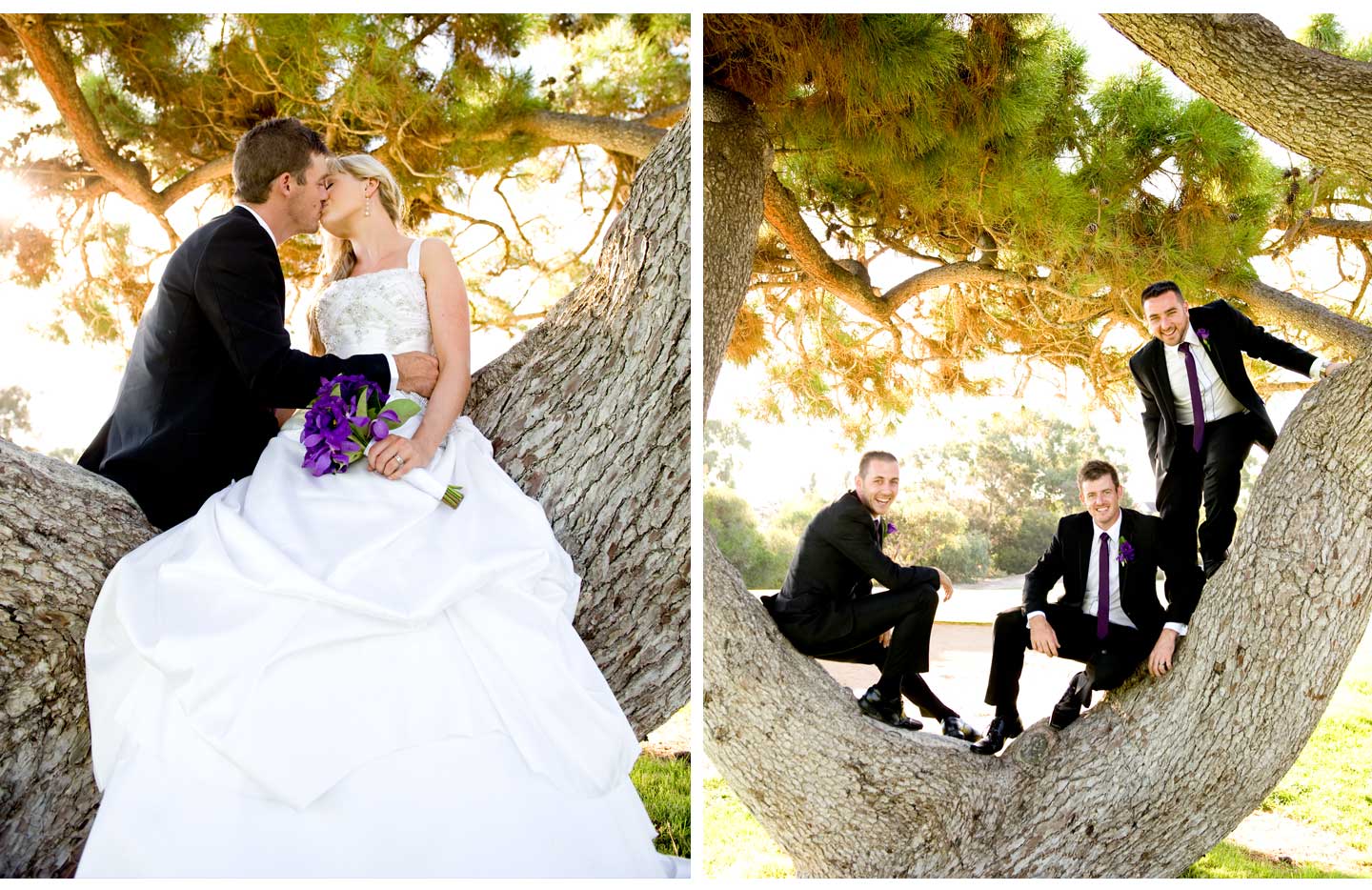 wedding photography adelaide