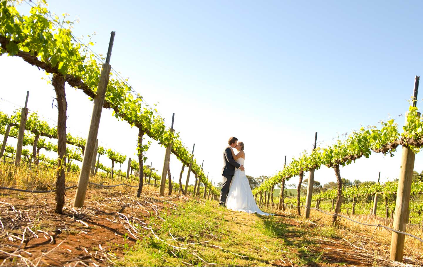 wedding photography clare valley
