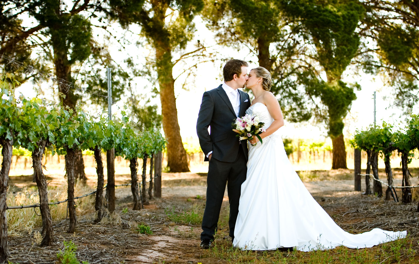 wedding photography clare valley